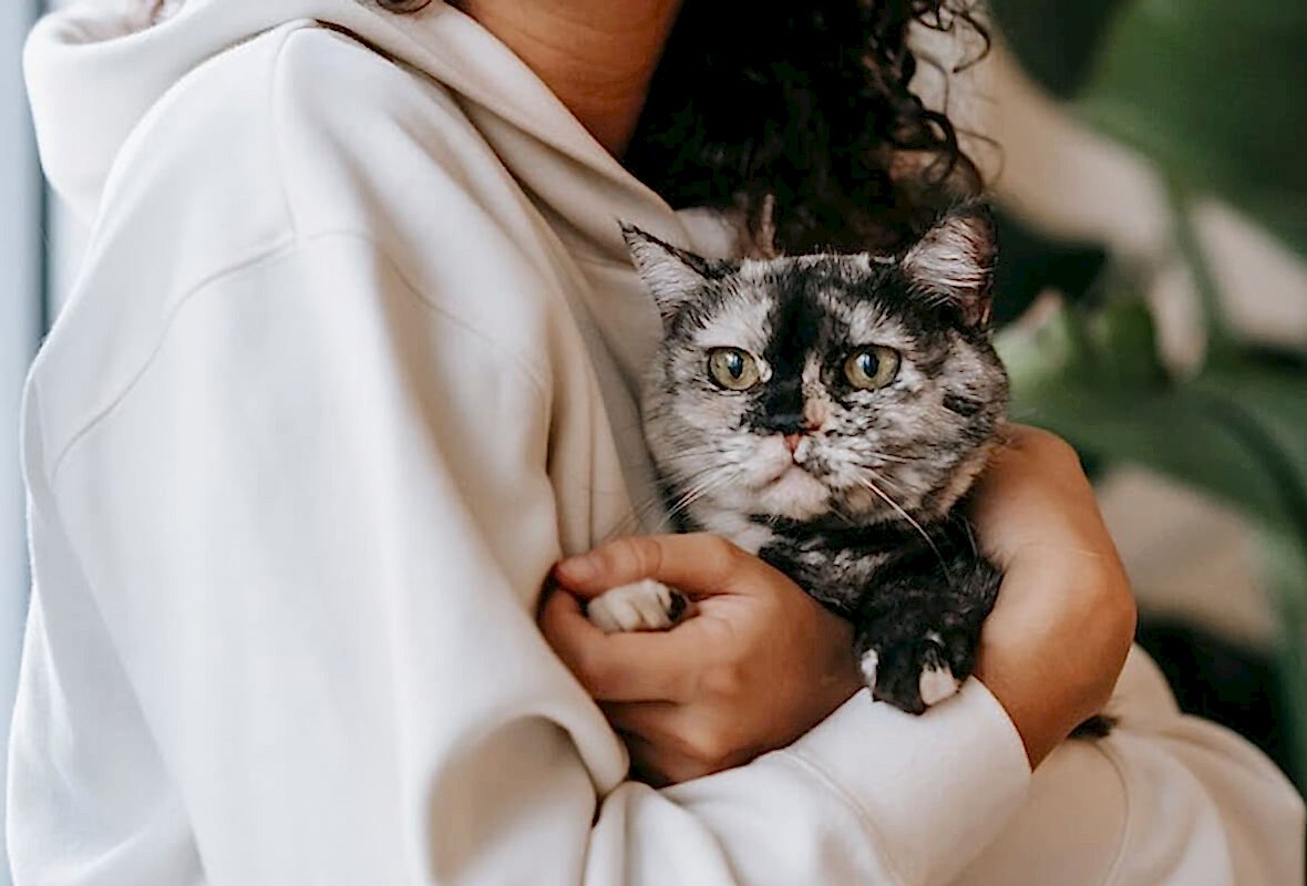 Güvenli ve Konforlu Bir Ortam İçin İpuçları