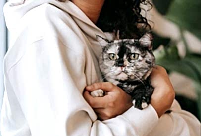 Güvenli ve Konforlu Bir Ortam İçin İpuçları