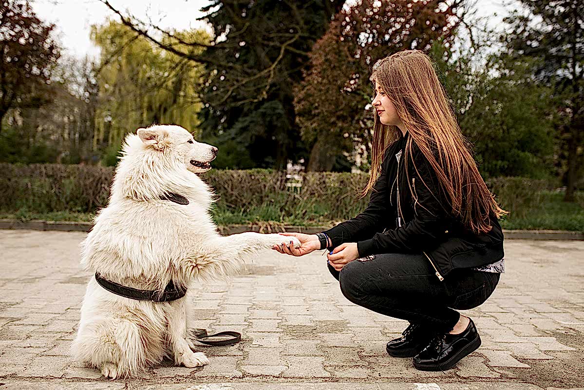Temel İtaat Eğitimi